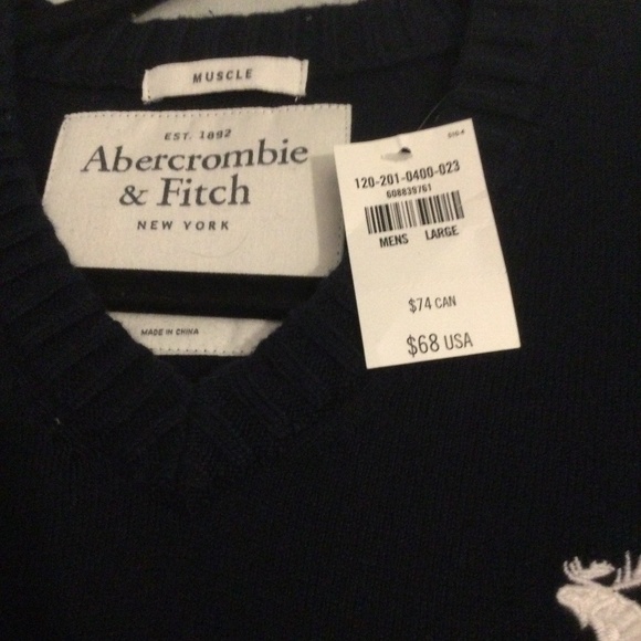 Men’s LARGE Abercrombie & Fitch V-Neck Sweater - Picture 2 of 6